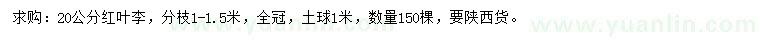 求購20公分紅葉李