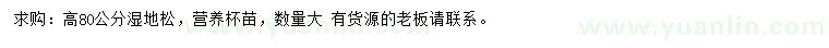 求購高80公分濕地松