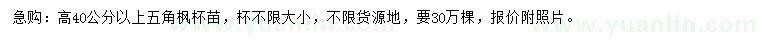 求購高40公分以上五角楓