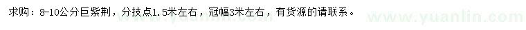 求購(gòu)8-10公分巨紫荊