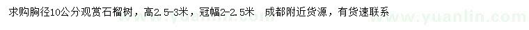 求購胸徑10公分觀賞石榴樹