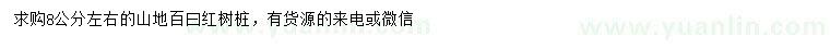 求購8公分左右山地百曰紅樹樁