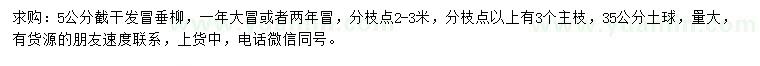 求購(gòu)5公分垂柳