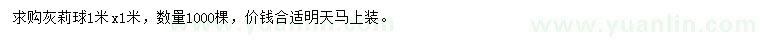 求購(gòu)1x1米灰莉球