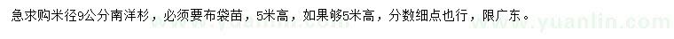 求購(gòu)米徑9公分南洋杉