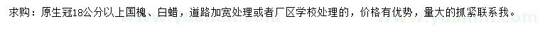 求購18公分以上國槐、白蠟