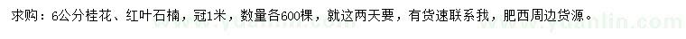 求購6公分桂花、紅葉石楠