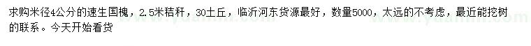 求購米徑4公分速生國槐