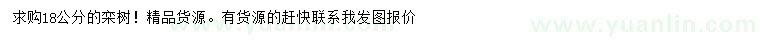 求購18公分欒樹