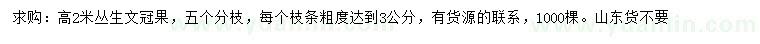 求購高2米文冠果