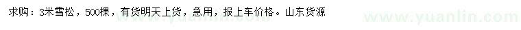 求購(gòu)3米雪松