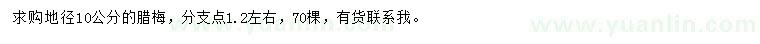 求購地徑10公分臘梅