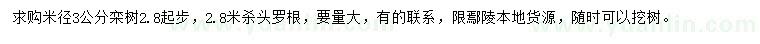 求購(gòu)米徑3公分欒樹