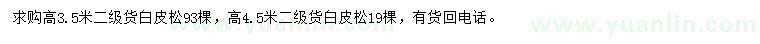 求購高3.5、4.5米白皮松