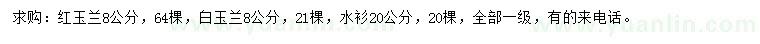 求購紅玉蘭、白玉蘭、水杉