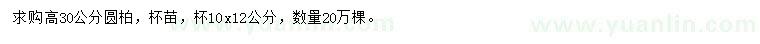求購高30公分圓柏