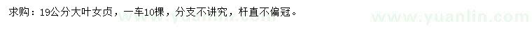 求購(gòu)19公分大葉女貞