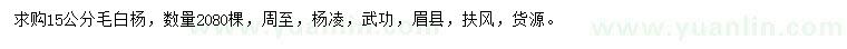 求購(gòu)15公分毛白楊