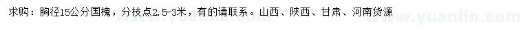 求購胸徑15公分國槐