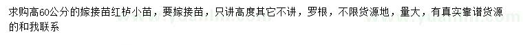 求購高60公分嫁接紅櫨