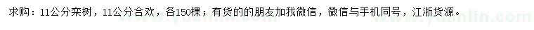 求購11公分欒樹、合歡