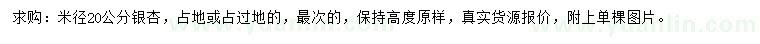 求購米徑20公分銀杏