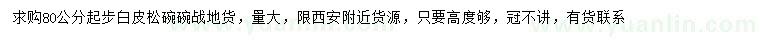 求購80公分起步白皮松