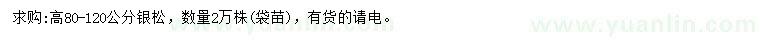 求購高80-120公分銀松