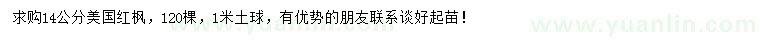 求購14公分美國紅楓