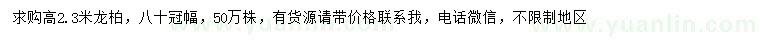 求購高2.3米龍柏
