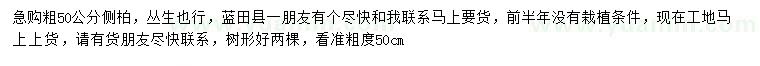 求購(gòu)粗50公分側(cè)柏