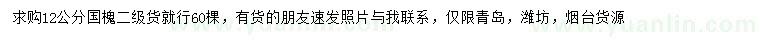 求購12公分國槐