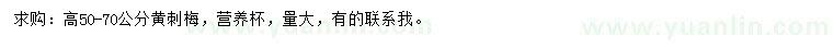 求購(gòu)高50-70公分黃刺梅
