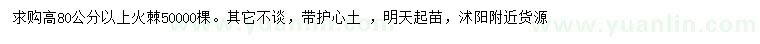 求購高80公分以上火棘