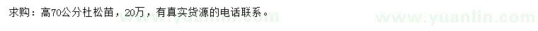 求購(gòu)高70公分杜松