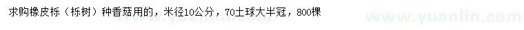 求購米徑10公分橡皮櫟