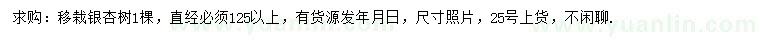 求購125公分以上移栽銀杏