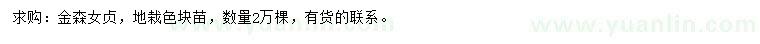 求購金森女貞