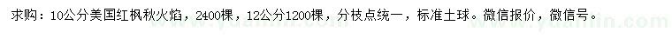 求購10、12公分美國紅楓