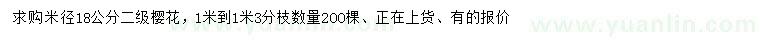 求購米徑18公分櫻花