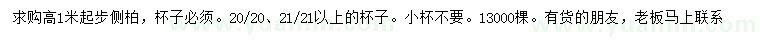 求購高1米以上側柏