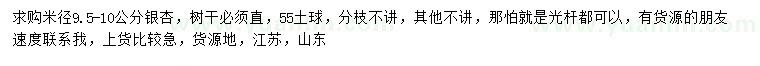 求購米徑9.5-10公分銀杏