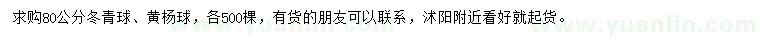 求購(gòu)80公分冬青球、黃楊球