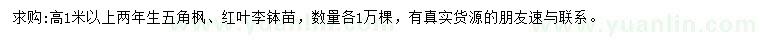 求購(gòu)高1米以上五角楓、紅葉李