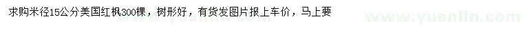 求購米徑15公分美國紅楓