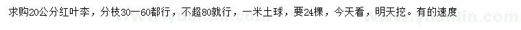 求購20公分紅葉李