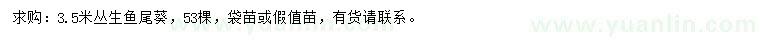 求購(gòu)3.5米叢生魚尾葵