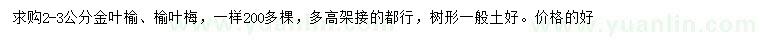 求購(gòu)2-3公分金葉榆、榆葉梅