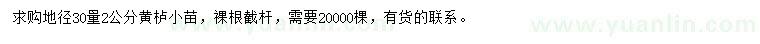 求購30量2公分黃櫨