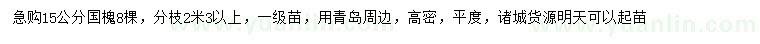 求購15公分國槐
